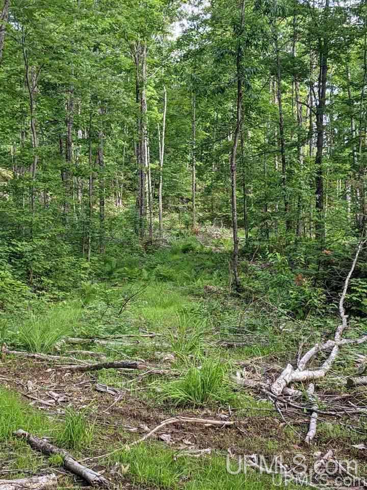 Ffr 4584 Forest Road Iron River, MI 49935 - Photo 11 of 12