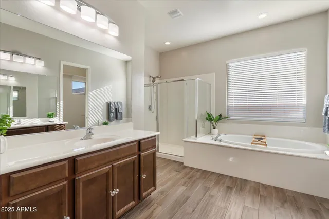 a bathroom with a double vanity sink and a bathtub