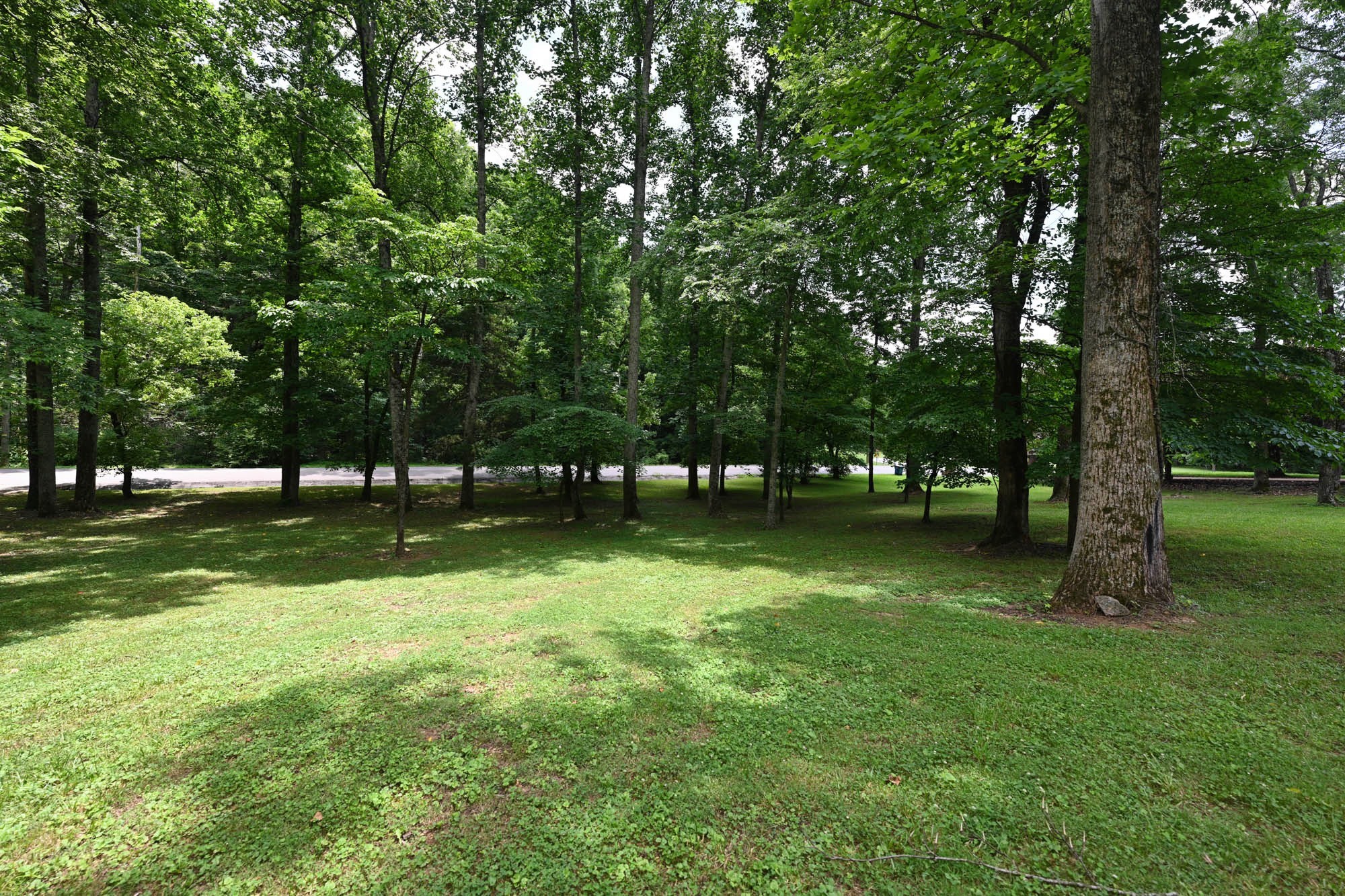 125 Happy Hollow Road Goodlettsville, TN 37072 - Photo 84 of 92 a view of park with trees