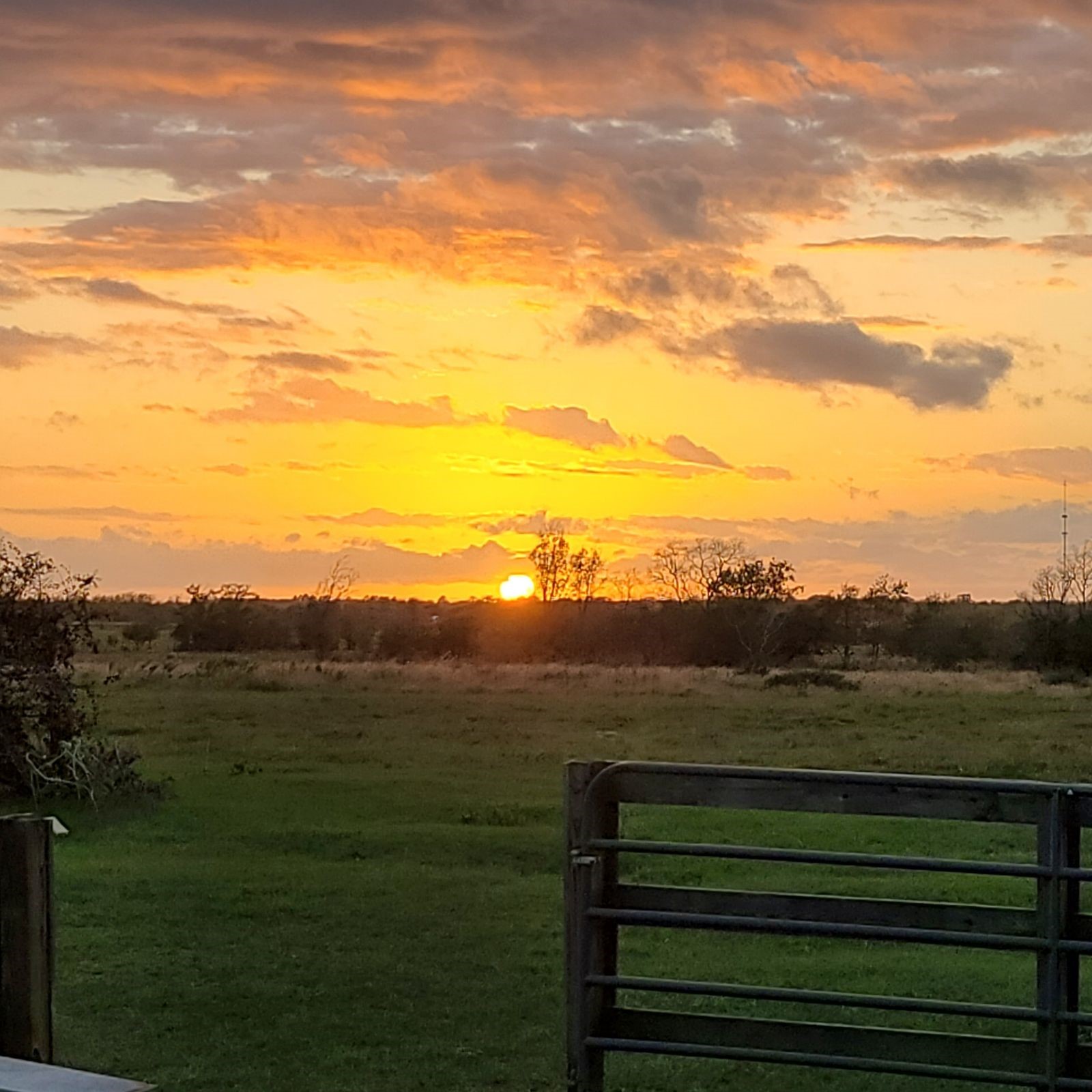 14029 Cochran Road Waller, TX 77484 - Photo 12 of 25