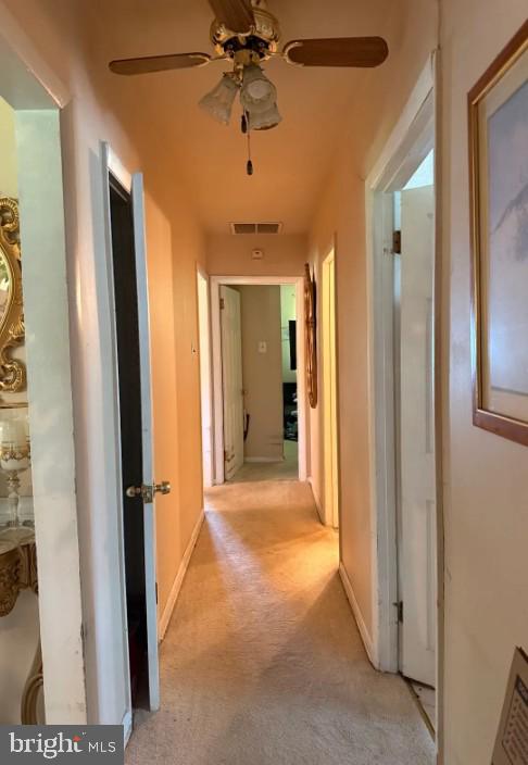 Inviting hallway with warm light.
