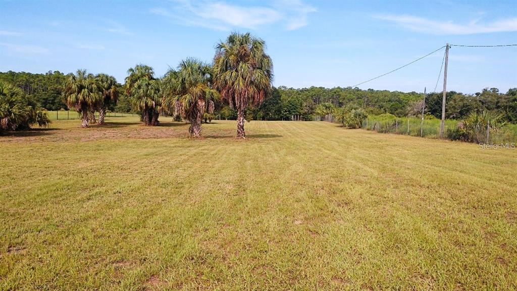 1177 Pfundstein Road Babson Park, FL 33827 - Photo 11 of 14