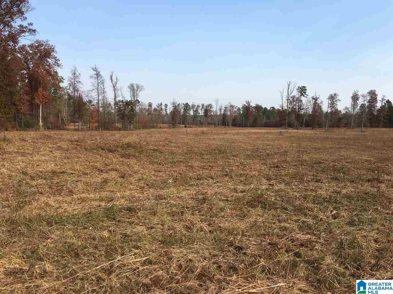 0 Wooden Trace Circle, Unit 30 Springville, AL 35146 - Photo 1 of 25