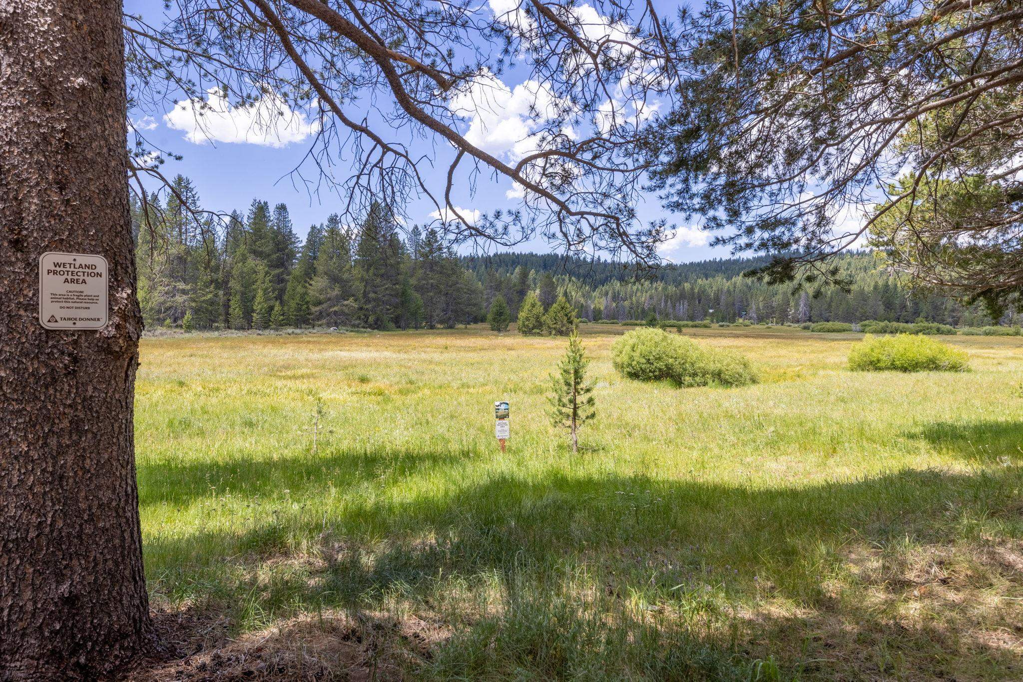 11298 Bennett Flat Road Truckee, CA 96161 - Photo 6 of 14 Gallery Image 6