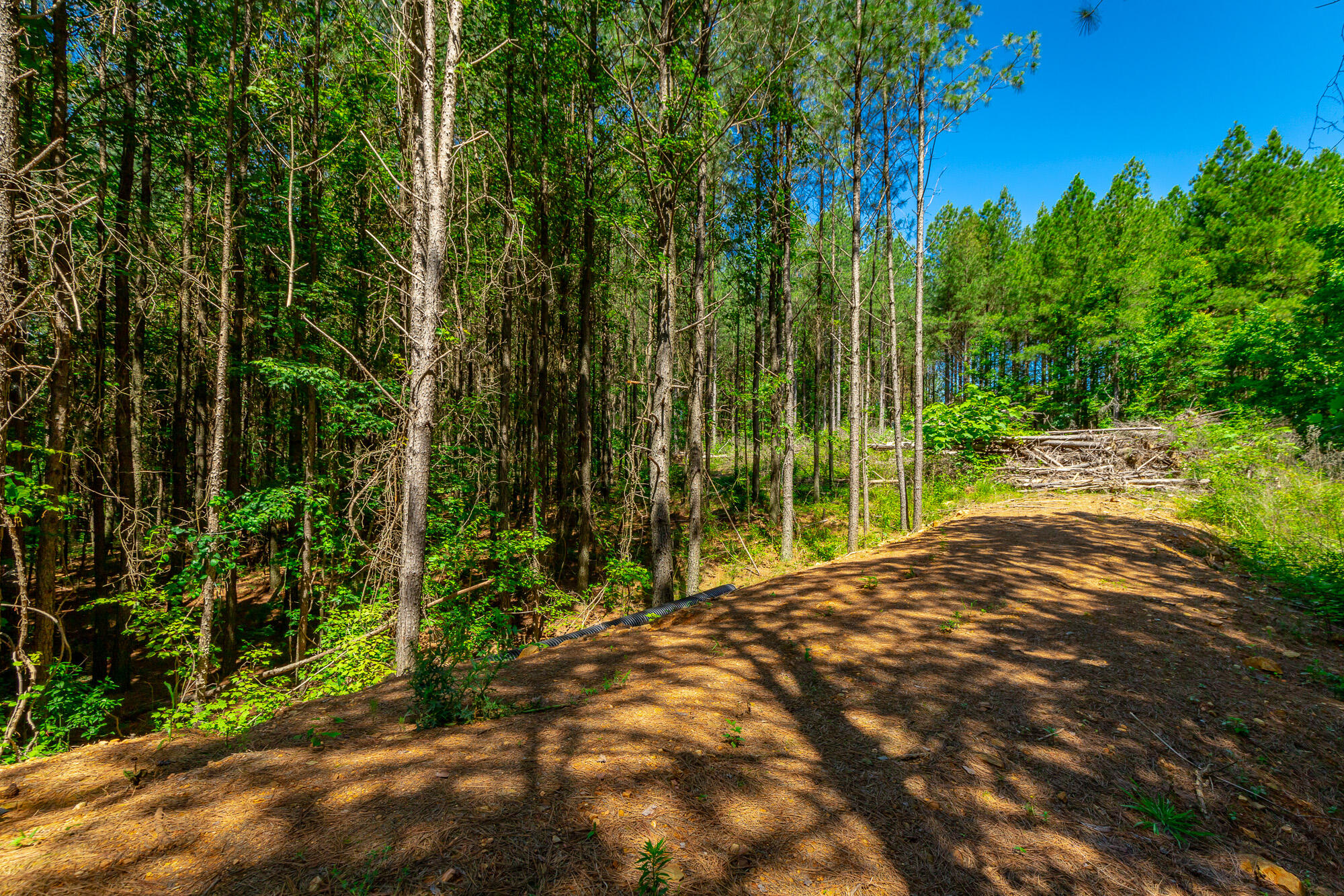 0 Split Rail Way, Unit LOT 1163 Guild, TN 37340 - Photo 5 of 118 River Gorge Lot 1163 HD-17