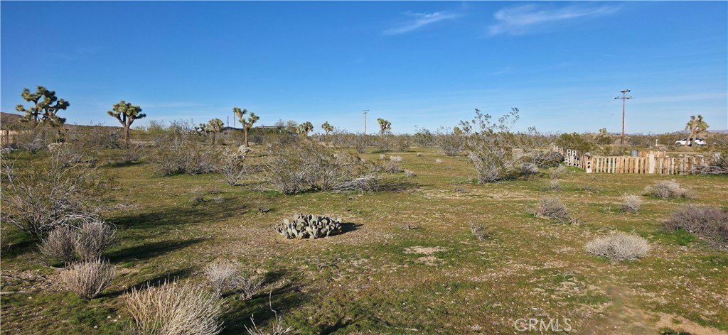 59787 Sharp Terrace Drive Yucca Valley, CA 92284 - Photo 11 of 19 a view of a dry yard with trees