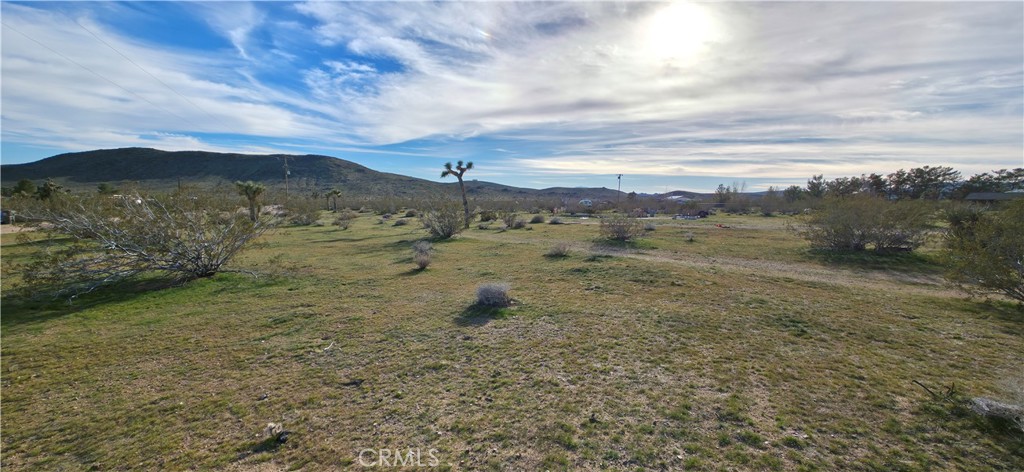 59787 Sharp Terrace Drive Yucca Valley, CA 92284 - Photo 3 of 19 a view of a large mountain with lots of trees