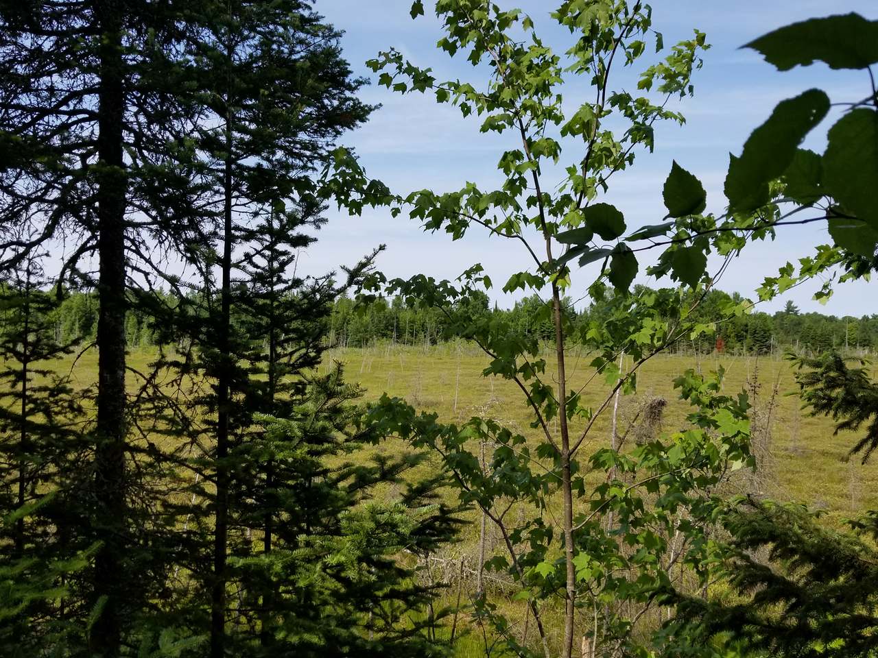 Lot 31 Nathan Pass Mercer, WI 54547 - Photo 16 of 26 Gallery Image 16