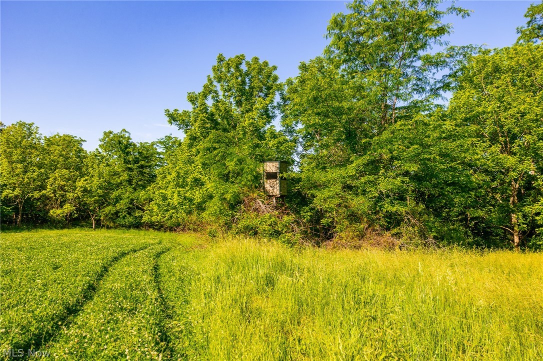 12680 Old Riley Road, Unit 5 Frazeysburg, OH 43822 - Photo 7 of 44