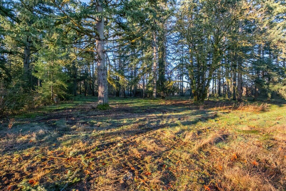 11997 Towers Road Southeast Stayton, OR 97383 - Photo 4 of 34