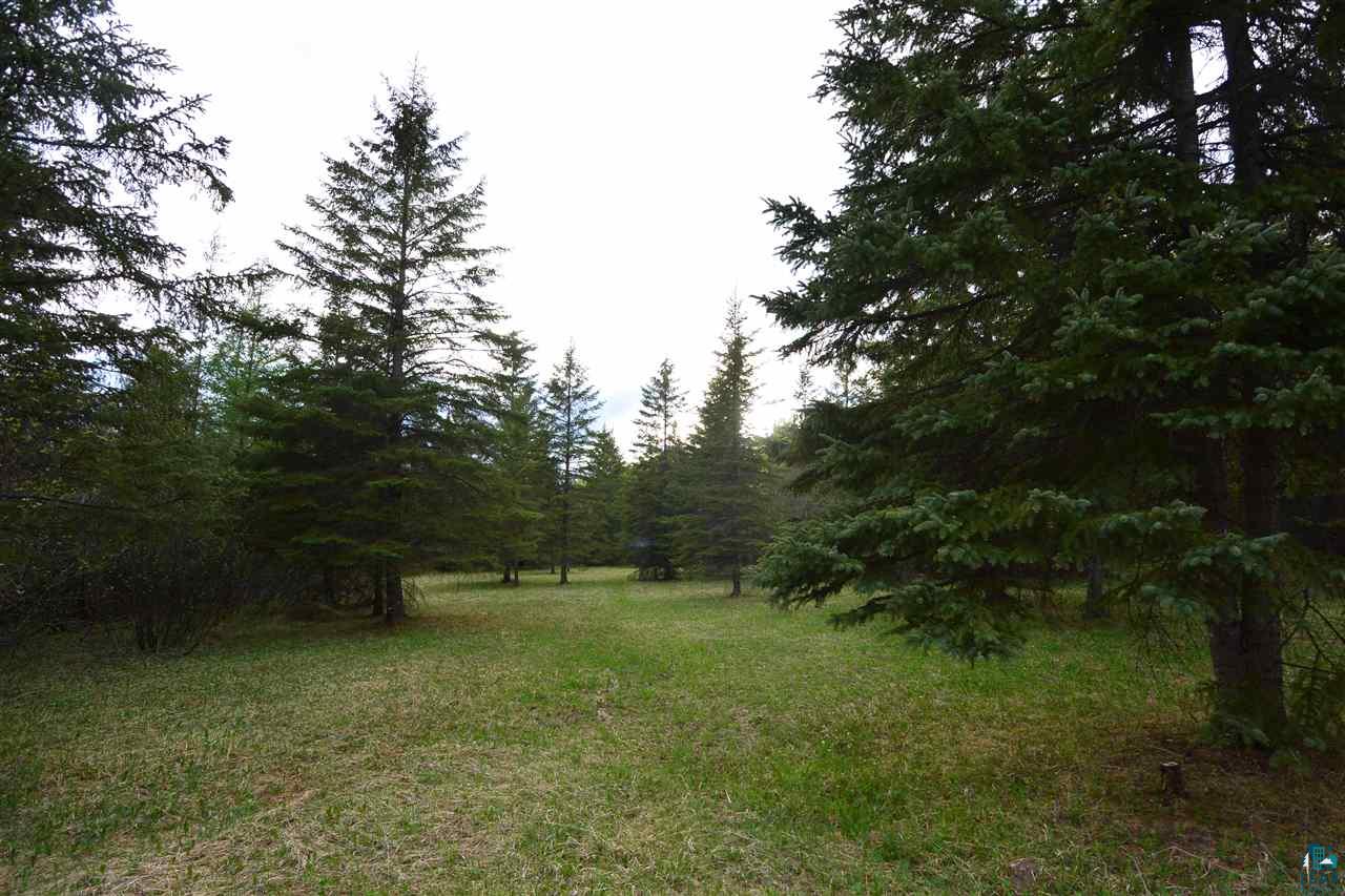 15554 State Highway 1 Cook, MN 55723 - Photo 13 of 24