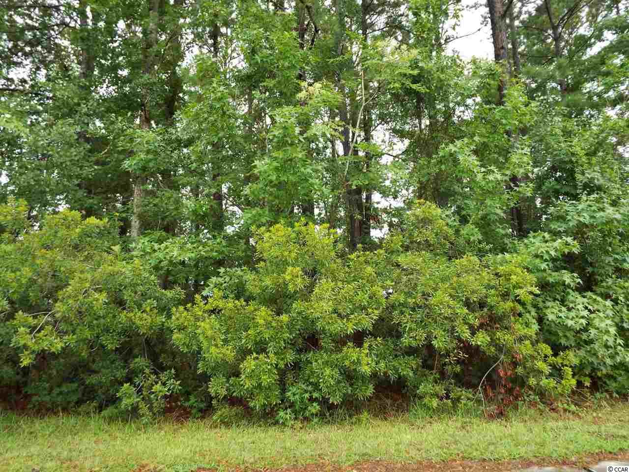 541 Saluda River Road Myrtle Beach, SC 29588 - Photo 1 of 10 Gallery Image 1