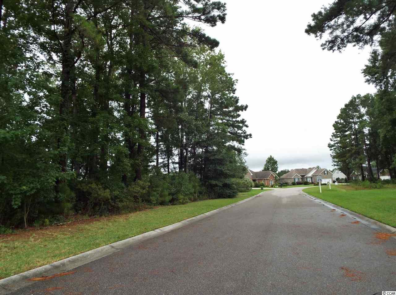 541 Saluda River Road Myrtle Beach, SC 29588 - Photo 2 of 10 Gallery Image 2