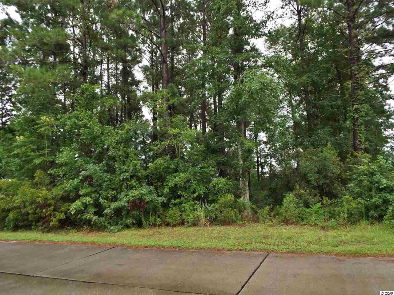541 Saluda River Road Myrtle Beach, SC 29588 - Photo 3 of 10 Gallery Image 3