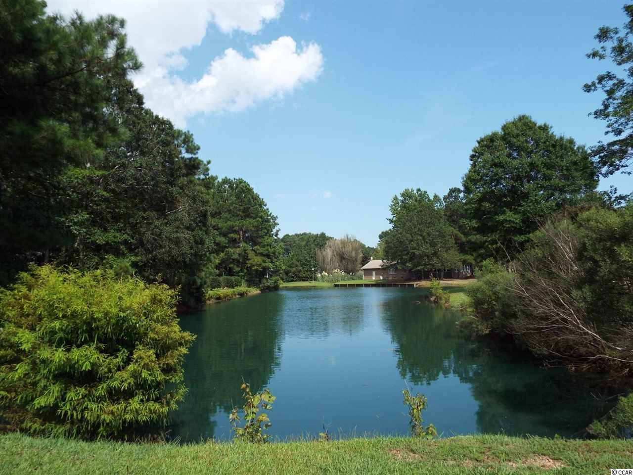 541 Saluda River Road Myrtle Beach, SC 29588 - Photo 9 of 10 Gallery Image 9