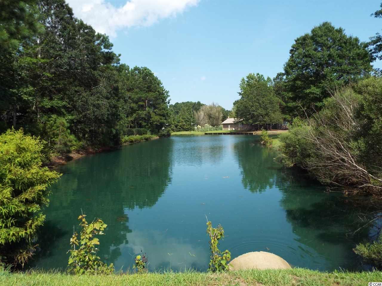 541 Saluda River Road Myrtle Beach, SC 29588 - Photo 10 of 10 Gallery Image 10