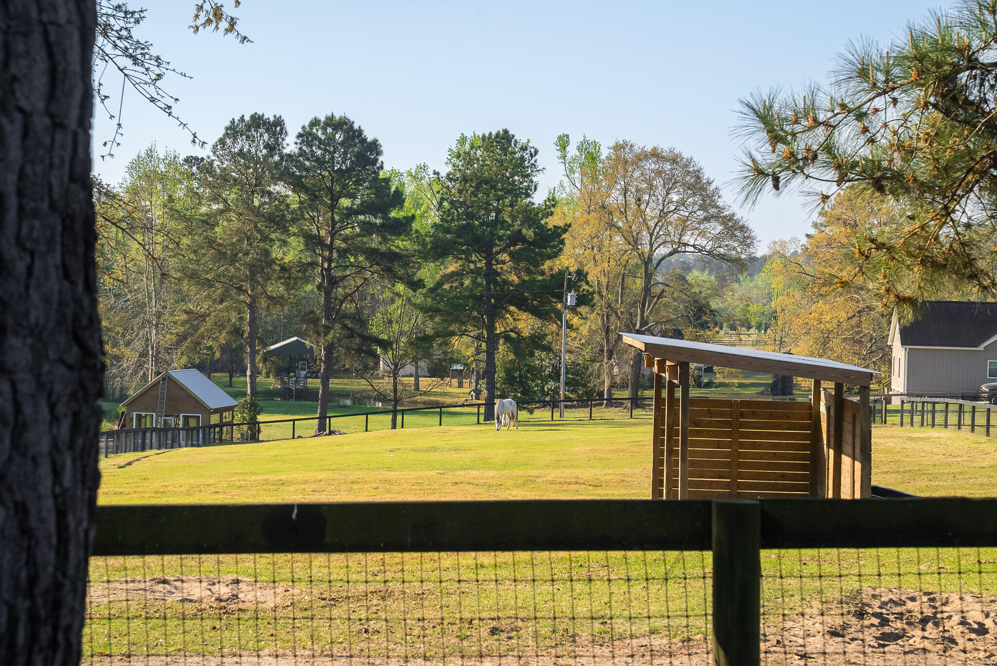 708 New Bridge Road Aiken, SC 29805 - Photo 32 of 55 Gallery Image 32