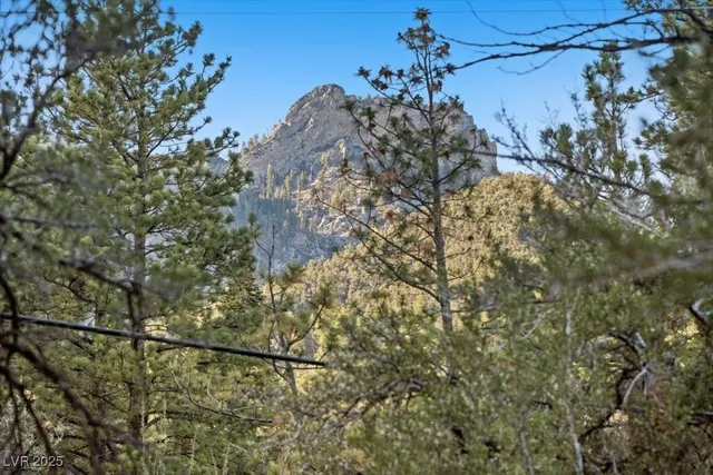 $600,000 | 4101 Mont Blanc Way, Mount Charleston, NV 89124