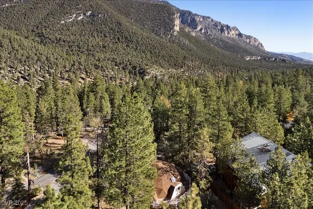 $600,000 | 4101 Mont Blanc Way, Mount Charleston, NV 89124