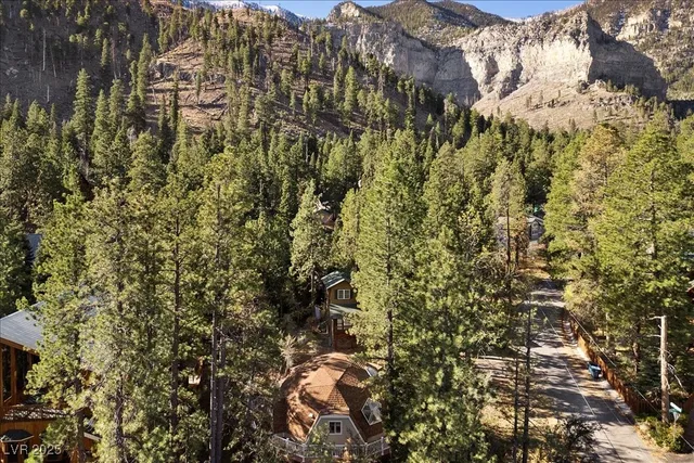 $600,000 | 4101 Mont Blanc Way, Mount Charleston, NV 89124