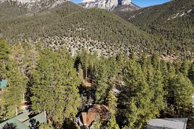 $600,000 | 4101 Mont Blanc Way, Mount Charleston, NV 89124