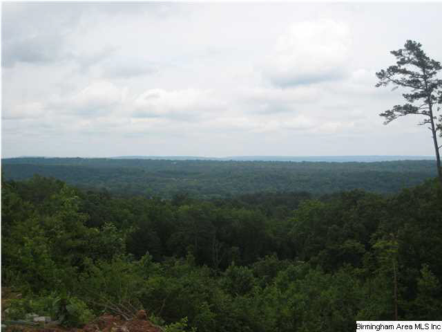 Mountain Ridge Parkway Trussville, AL 35173 - Photo 5 of 8