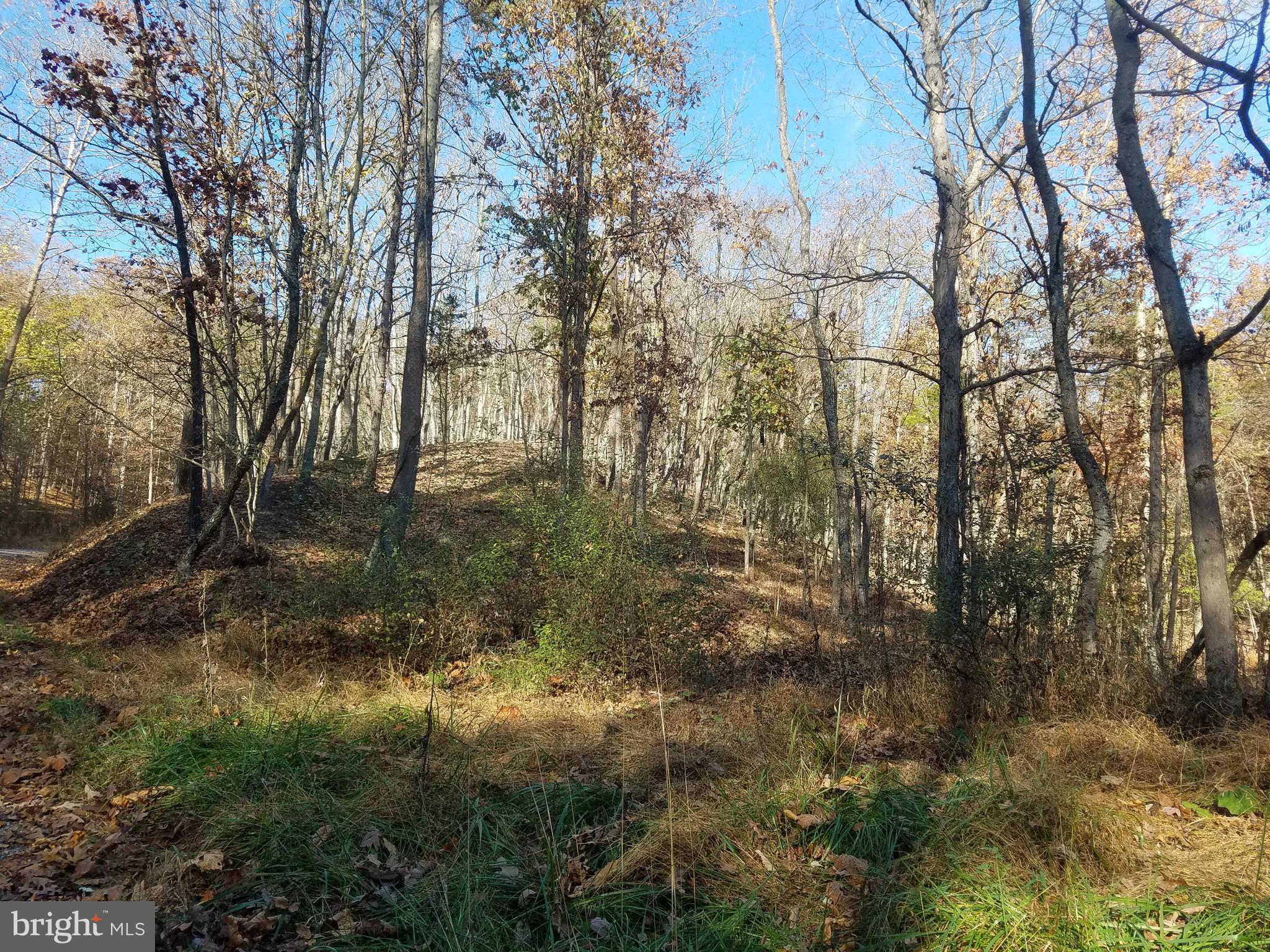 Church Hollow Road Romney, WV 26757 - Photo 8 of 20