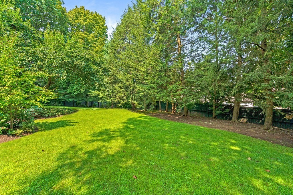 35 Wykeham Road Newton, MA 02465 - Photo 30 of 35