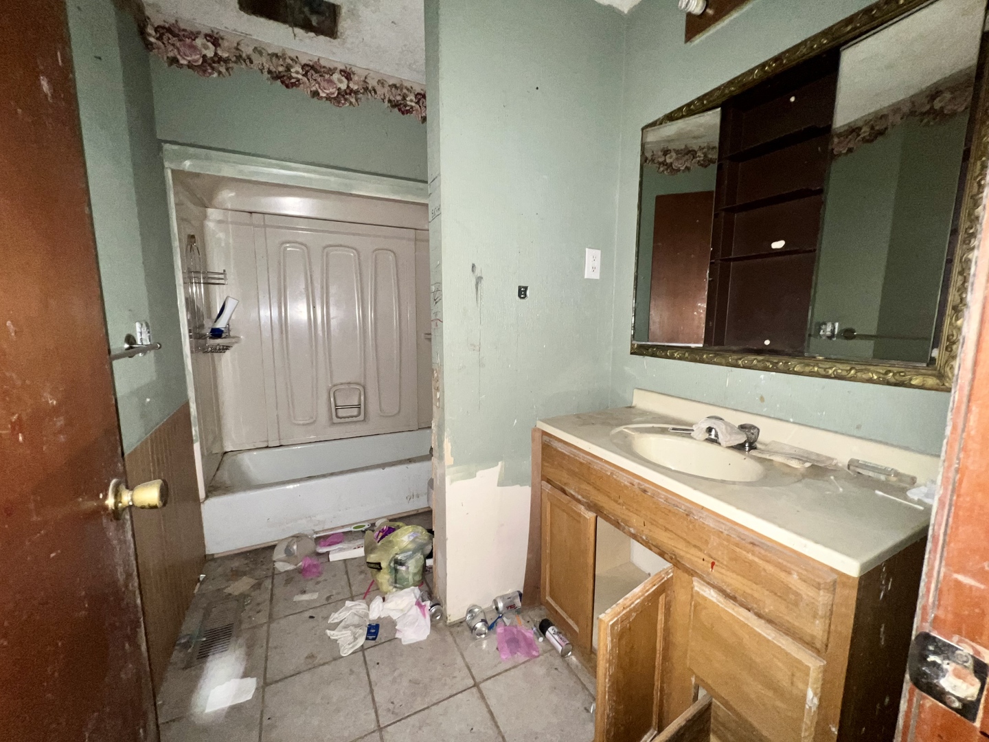 103 2nd Street Broadlands, IL 61816 - Photo 20 of 37 a bathroom with a sink and a mirror