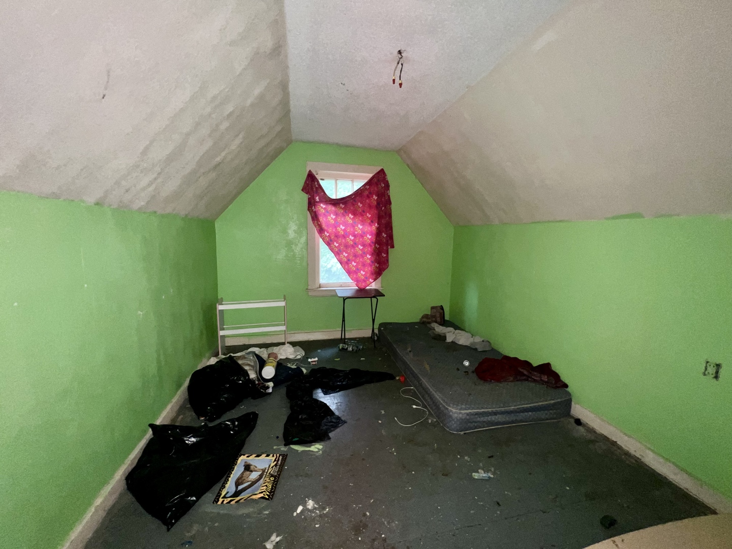 103 2nd Street Broadlands, IL 61816 - Photo 29 of 37 a room with pool table and windows