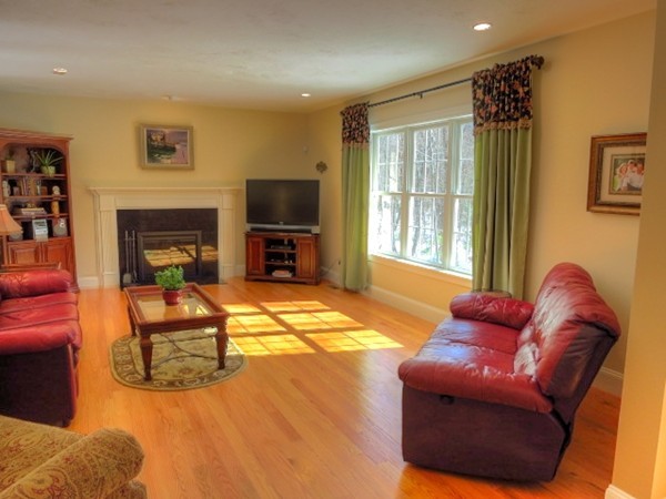 73 Front Street Hopkinton, MA 01748 - Photo 8 of 30 a living room with furniture a flat screen tv and a fireplace