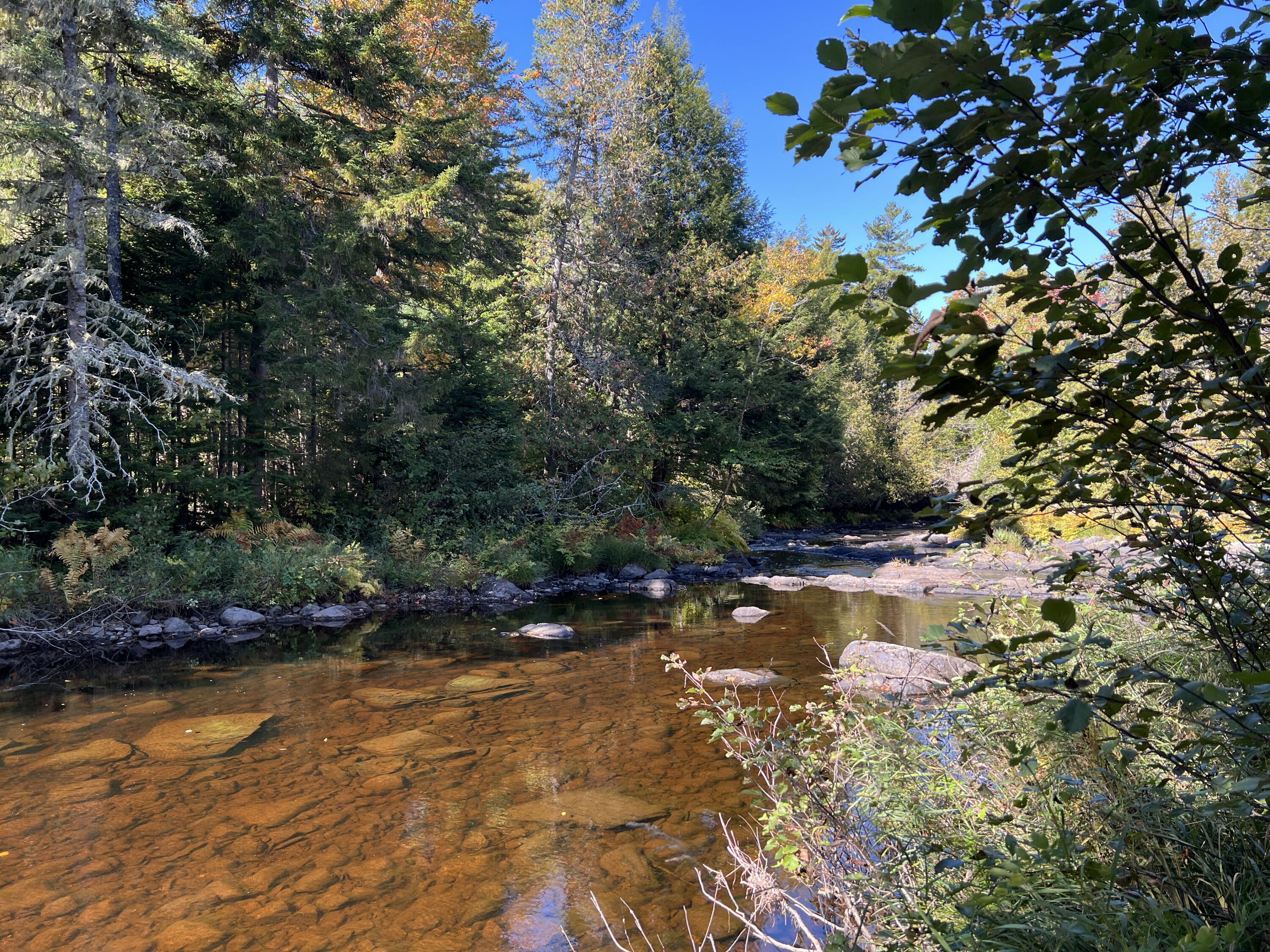 Lot 1 Church Road Oxbow, ME 04764 - Photo 2 of 19 IMG_3661