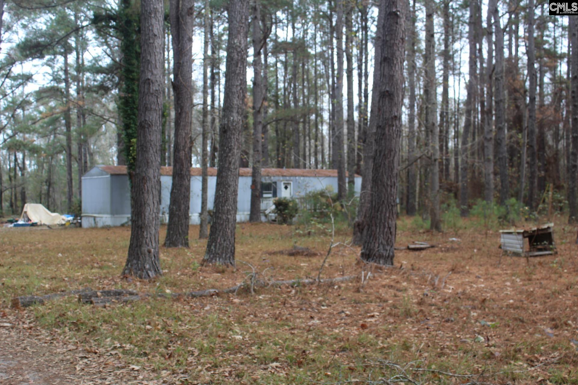 220 Ivory Street Cope, SC 29038 - Photo 8 of 14