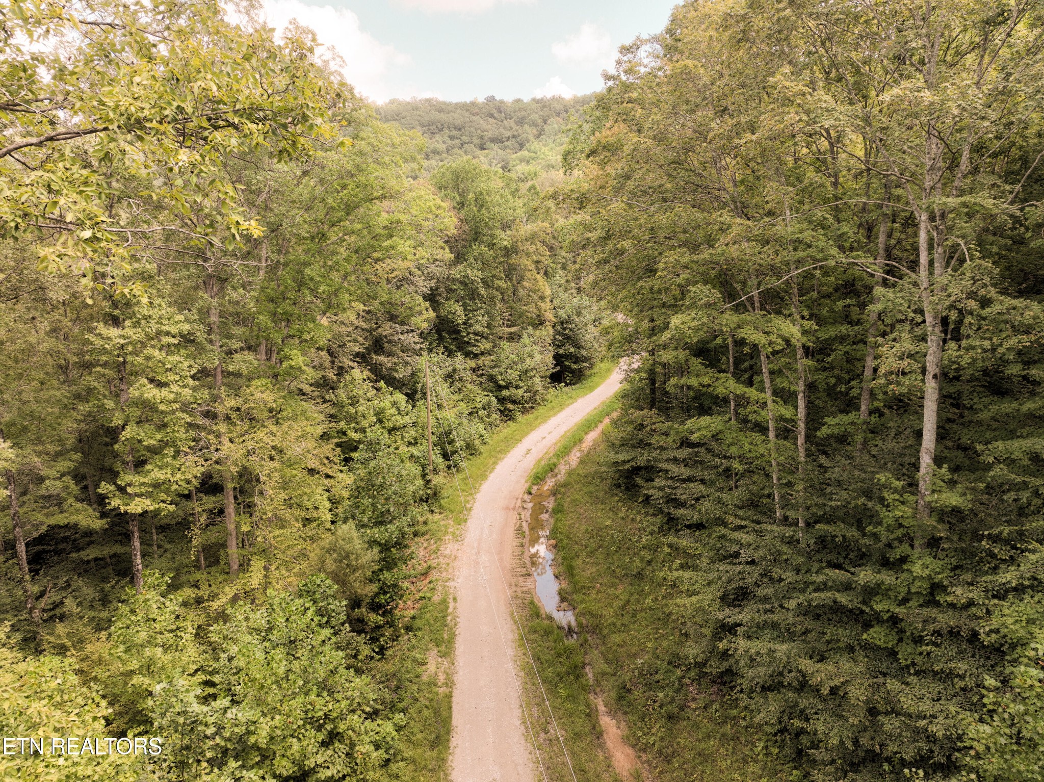 201 County Road 182 Decatur, TN 37322 - Photo 3 of 9