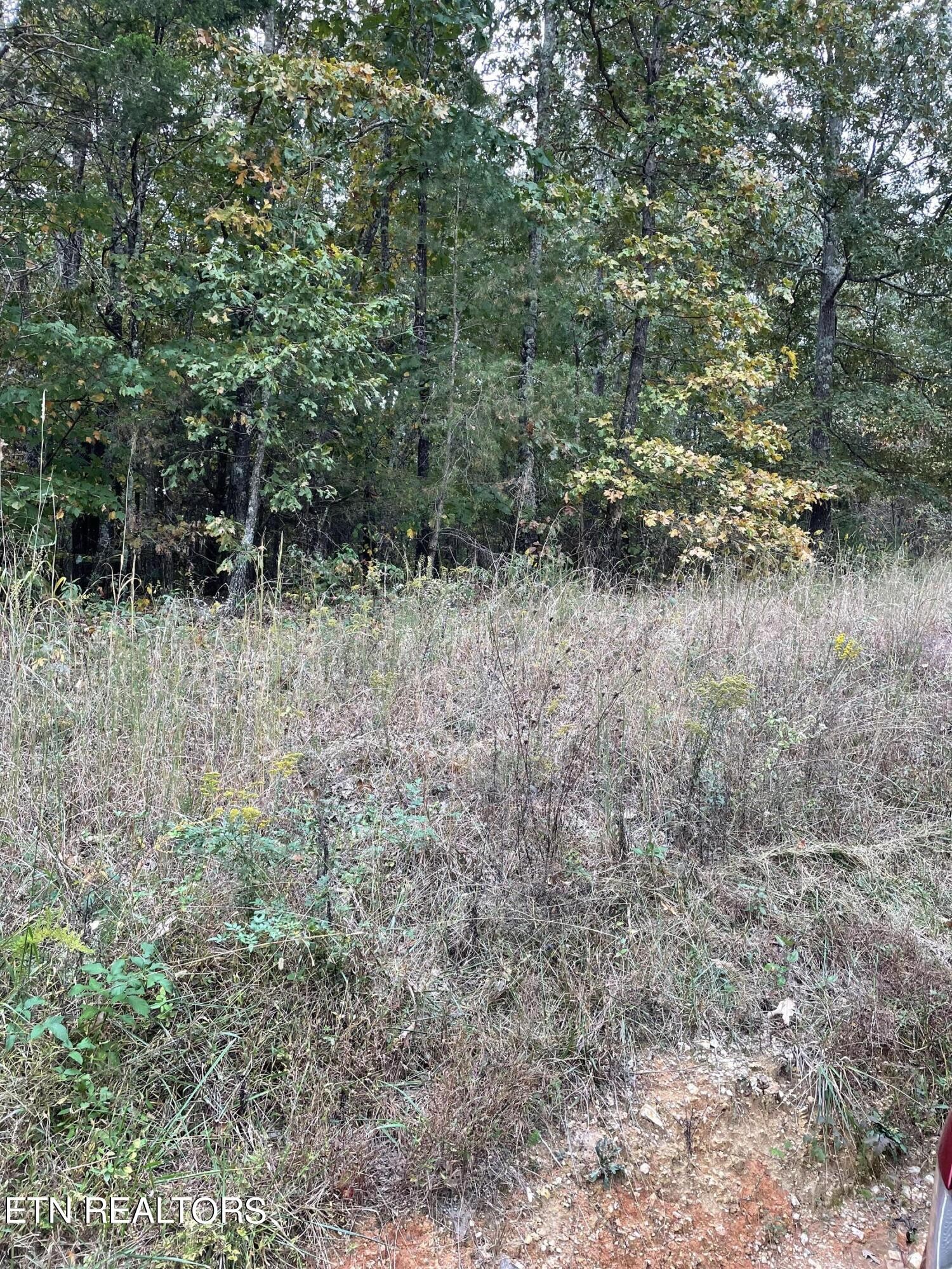 201 County Road 182 Decatur, TN 37322 - Photo 5 of 9