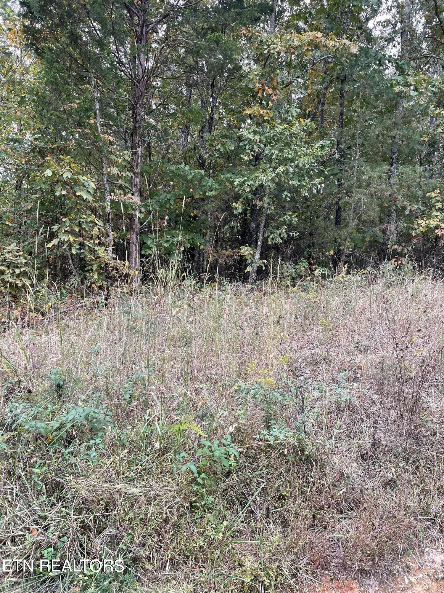 201 County Road 182 Decatur, TN 37322 - Photo 6 of 9