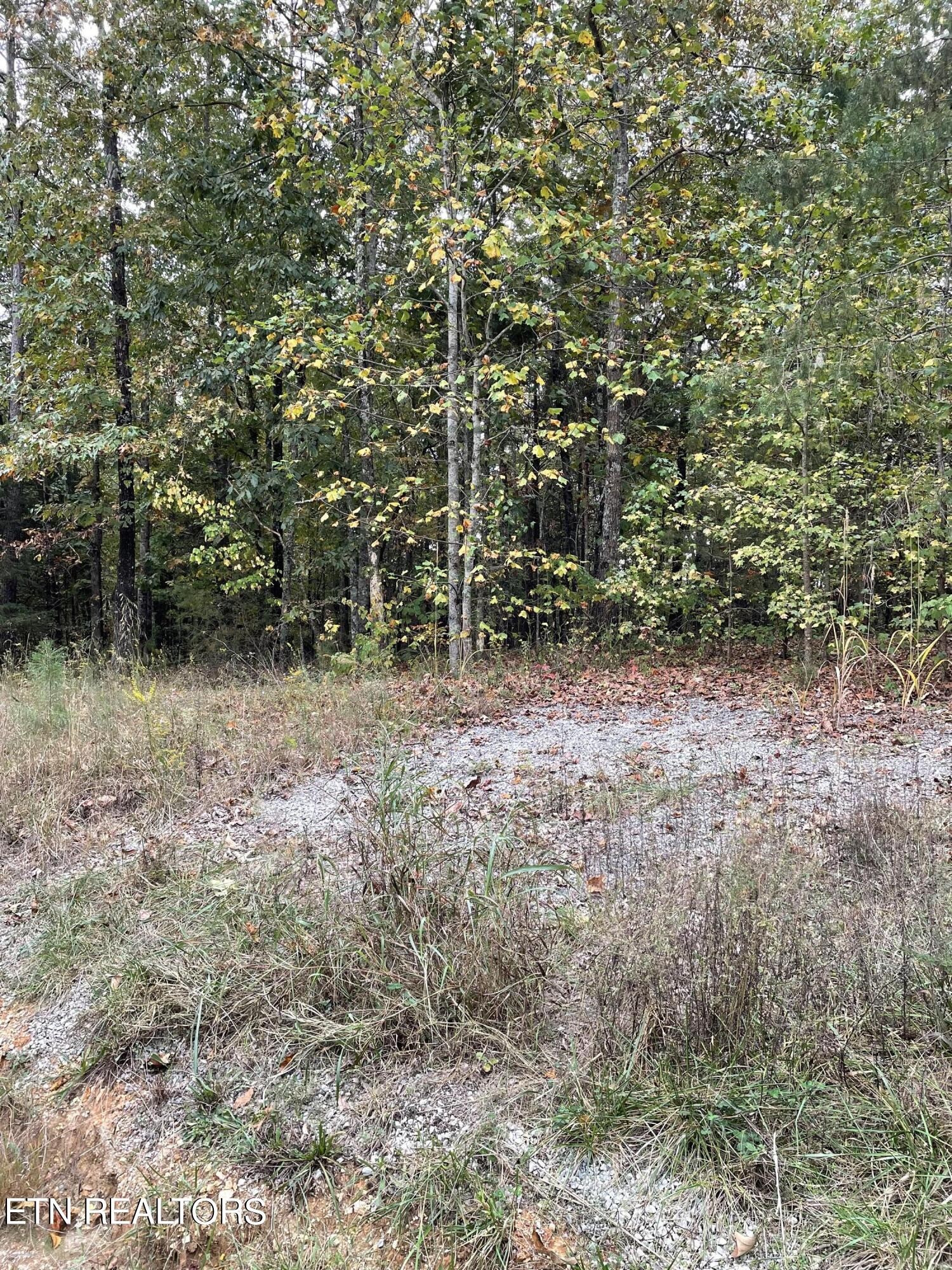 201 County Road 182 Decatur, TN 37322 - Photo 7 of 9