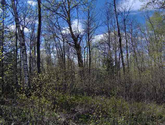 52-xx Washburn Road Duluth, MN 55803 - Photo 1 of 1 Gallery Image 1