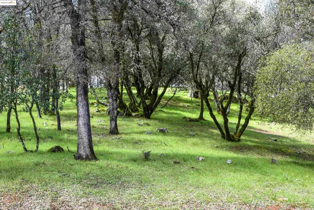 an white vase with white a vase and a plant on it