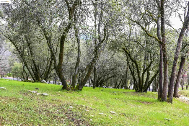 a view of backyard with green space