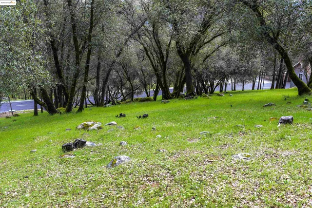 a green field with lots of trees