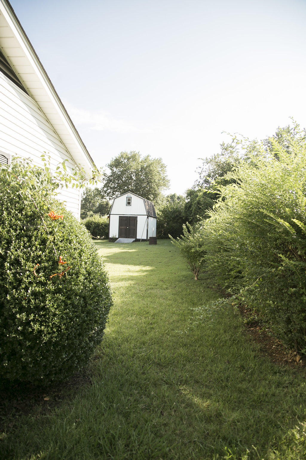 4405 Royalview Road Knoxville, TN 37921 - Photo 3 of 38 a view of a big yard with potted plants