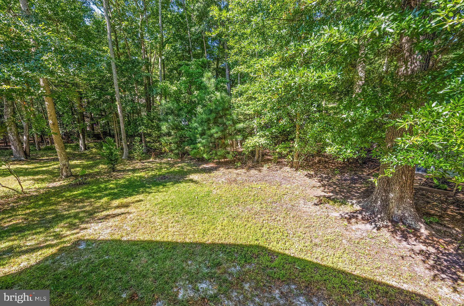 91 Robin Hood Trail Ocean Pines, MD 21811 - Photo 52 of 71 a view of a yard with a tree