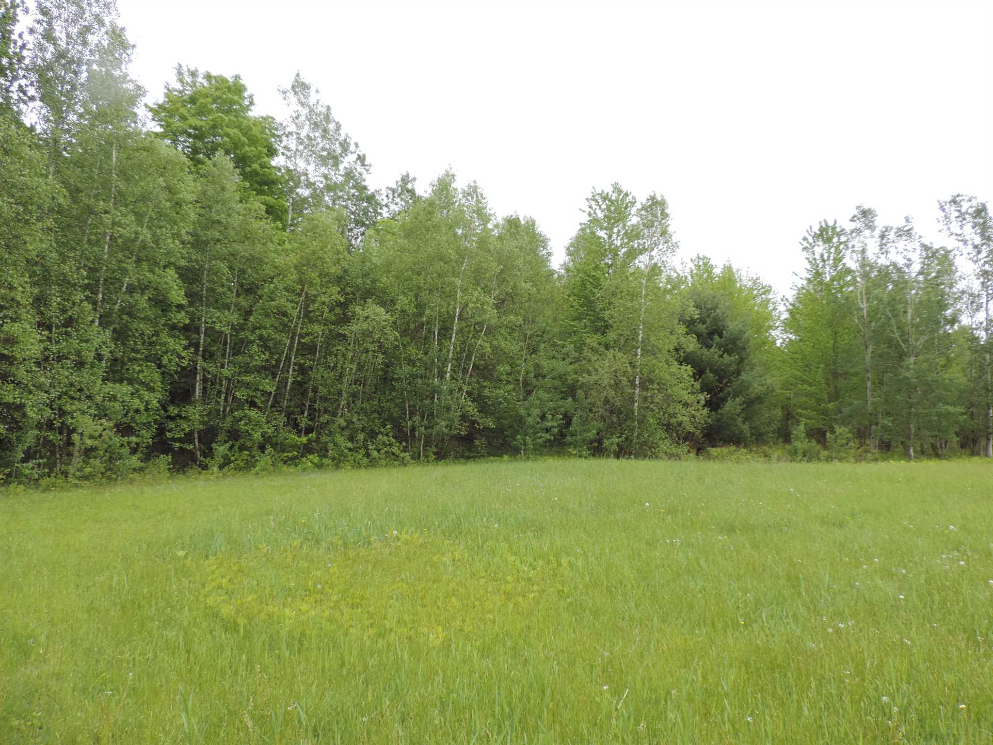 560 Armstrong Road Newport Town, VT 05857 - Photo 2 of 7 Gallery Image 2