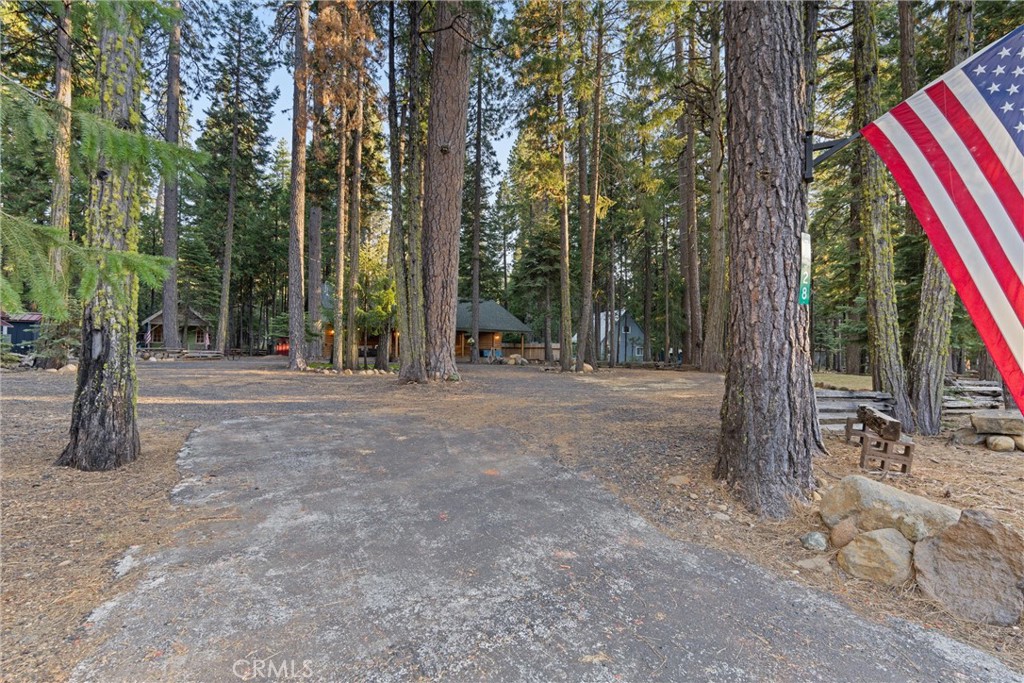 7528 Humboldt Road Butte Meadows, CA 95942 - Photo 31 of 41 a view of outdoor space with trees