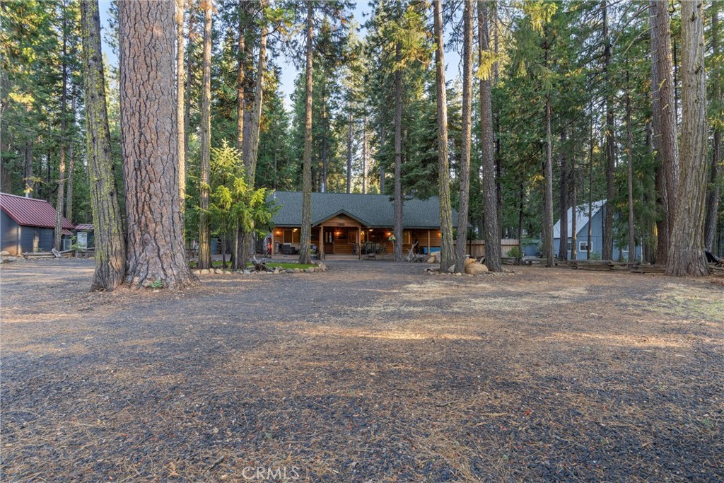7528 Humboldt Road Butte Meadows, CA 95942 - Photo 32 of 41 a view of a park with large trees