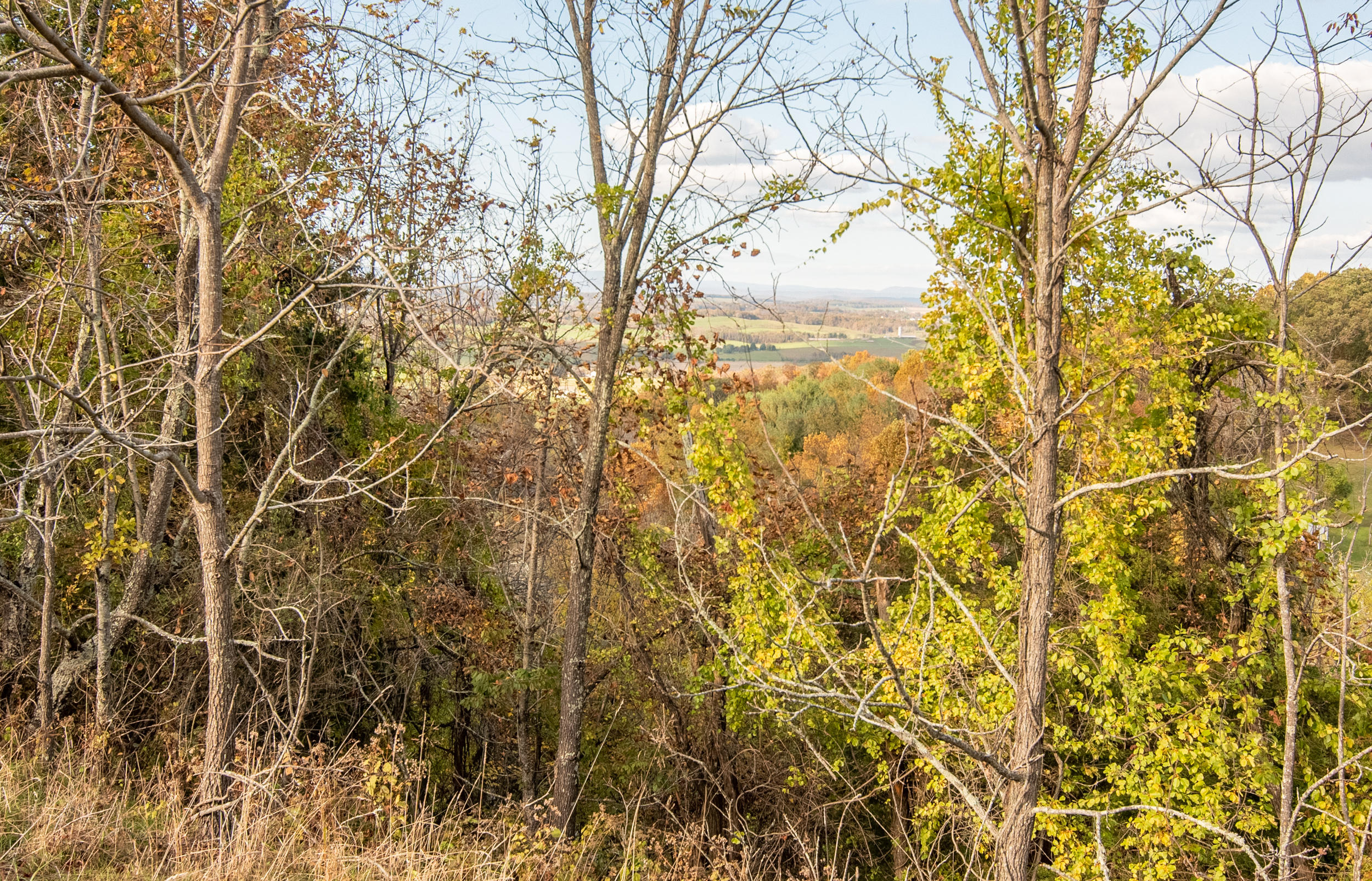 4883 Sidney Church Road Riner, VA 24149 - Photo 26 of 73 DSC_1170-HDR