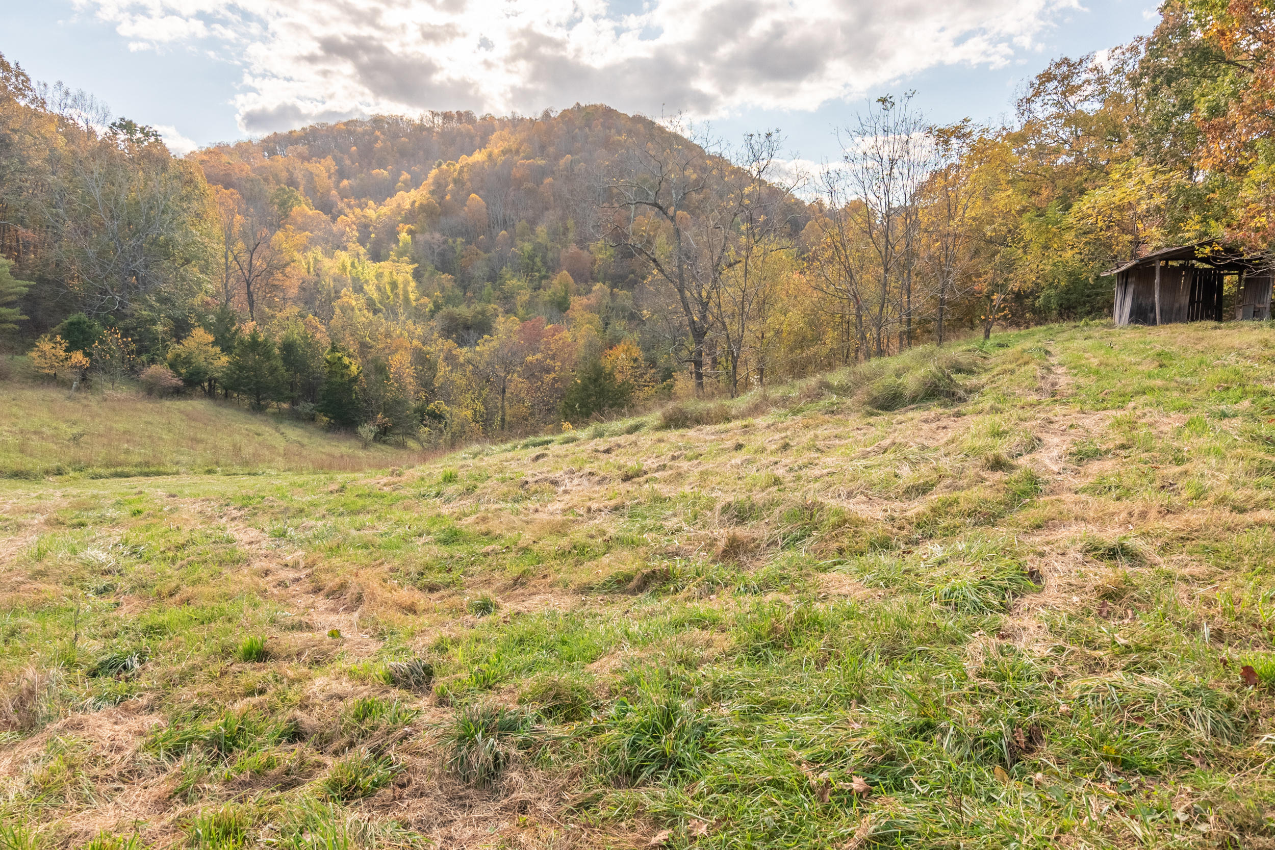 4883 Sidney Church Road Riner, VA 24149 - Photo 27 of 73 DSC_1176-HDR