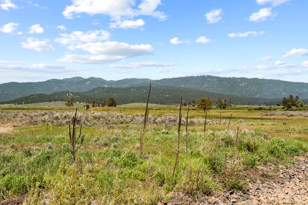 L10-b2 L10-b2 River, Unit 10 Cascade, ID 83611 - Photo 2 of 9 View Looking Northeast