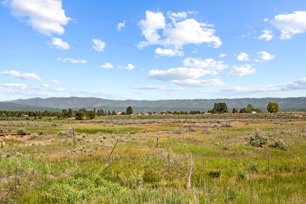 L10-b2 L10-b2 River, Unit 10 Cascade, ID 83611 - Photo 5 of 9 Payette River is Just Across the Street